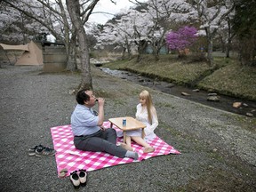 In this picture taken on April 21, 2017, 62-year-old Senji Nakajima (L) picnics with his silicone sex doll Saori under cherry blossoms in Yamanashi prefecture.