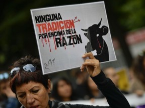A woman holds up a sign protesting against the bull runs, a few days before the famous San Fermin festival, in Pamplona, northern Spain, Saturday, July 1, 2017. The festival will begin on July 6 with the ''txupinazo'' opening ceremony, with people participating in bull runs, music and dance, through the old city. (AP Photo/Alvaro Barrientos)
