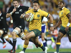 FILE - In this Oct. 18, 2014 file photo, Australia's Christian Leali'ifano, center, runs away from New Zealand's Richie McCaw, left, during the Bledisloe cup rugby match against New Zealand in Brisbane, Australia.  Leali'ifano has been selected on the reserves bench for the Brumbies in the Super Rugby playoffs, less than a year after being diagnosed with leukemia. Brumbies coach Stephen Larkham announced inside back Leali'ifano's comeback on Tuesday, July 18, 2017,  for their home quarterfinal in Canberra against the Wellington, New Zealand-based Hurricanes.  (AP Photo/Tertius Pickard, File)