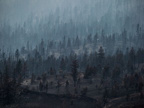 Smoke rises from trees burned by wildfire on a mountain near Ashcroft, B.C. More than 200 wildfires are burning in the province and an estimated 14,000 people have been evacuated from their homes.