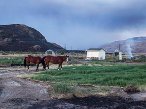 Horses that survived a wildfire stand outside a neighbouring home to feed after numerous homes were destroyed by fire on the Ashcroft First Nation, near Ashcroft, B.C.