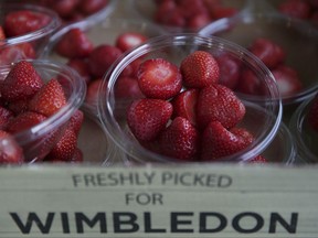 Strawberries for sale on display, on day five at the Wimbledon Tennis Championships in London Friday, July 7, 2017. Green grass, tennis whites and big red strawberries. It can only be Wimbledon - even though nobody really seems to know how the seasonal fruit became ubiquitous at the All England Club. The annual tennis tournament is among the most traditional of sporting events in the world and it certainly has its customs and peculiarities. And strawberries and cream is one of them. (AP Photo/Tim Ireland)