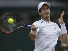 Britain's Andy Murray returns to Sam Querrey of the United States during their Men's Singles Quarterfinal Match on day nine at the Wimbledon Tennis Championships in London Wednesday, July 12, 2017. (AP Photo/Tim Ireland)