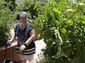 In this photo taken July 12, 2017, Cynthia Guzman walks through a garden outside her home in Napa, Calif. Guzman underwent a special kind of PET scan that can detect a hallmark of Alzheimer's and learned she didn't have that disease as doctors originally thought, but a different form of dementia. New research suggests those scans may lead to changes in care for people with memory problems that are hard to diagnose. (AP Photo/Eric Risberg)