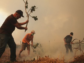 Men use fig tree branches to extinguish flames approaching houses in the village of Sao Jose das Matas, near Macao, central Portugal, Wednesday, July 26 2017. Emergency services in Portugal are getting no respite from wildfires that are charring wide areas of forest _ and the huge billowing clouds of smoke they are generating are making visibility too poor to use water-dropping aircraft. (AP Photo/Armando Franca)