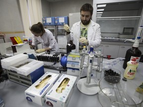 FILE - This is a Tuesday, May 24, 2016 file photo of employees Natalya Bochkaryova, left, and Ilya Podolsky work at the Russian Anti Doping Agency RUSADA drug-testing laboratory in Moscow, Russia. Russia wants to hit dopers where it hurts _ in their bank accounts. In a push to restore Russia's sporting reputation after numerous doping scandals, the government has officially approved a plan to confiscate prize money and government grants from athletes who are found to be cheating. (AP Photo/Alexander Zemlianichenko/File)