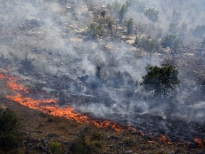Smoke rises from trees burned by wildfire on a mountain near Montenegro capital Podgorica, Monday, July 17, 2017. At least 100 tourists have been forced to evacuate from a coastal area in Montenegro that has been the hardest hit by the blaze. Fueled by strong winds and dry weather, the fire on the Lustica peninsula in southern Montenegro has spread near to homes and camping zones. (AP Photo/Risto Bozovic)