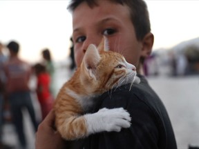 A Syrian displaced boy who fled with his family the battle between U.S.-backed Syrian Democratic Forces and the Islamic State militants from Raqqa city, carries his cat at a refugee camp, in Ain Issa town, northeast Syria, Wednesday, July 19, 2017. The U.S. military is supporting local Syrian forces in a campaign to drive IS from Raqqa. (AP Photo/Hussein Malla)