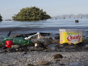 In this July 27, 2017 photo, trash lays on the coast of Guanabara bay, in Rio de Janeiro, Brazil. Rio organizers promised to clean up polluted Guanabara Bay in their winning bid in 2009. During the Olympics, officials used stop-gap measures to keep floating sofas, logs, and dead animals from crashing into boats during the sailing events. Since the Olympics, the bankrupt state of Rio de Janeiro has ceased major efforts to clean the bay, with the unwelcome stench usually drifting along the highway from the international airport. (AP Photo/Silvia Izquierdo)