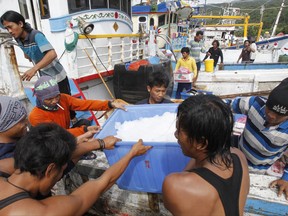 Indonesian fishing workers hurry to unload their catch from a fishing boat as Typhoon Nesat is expected to arrive in Taiwan, in Yilan county, northern Taiwan, Saturday, July 29, 2017. (AP Photo/Chiang Ying-ying)