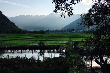 The rice paddies look peaceful in the morning in Mai Chau.