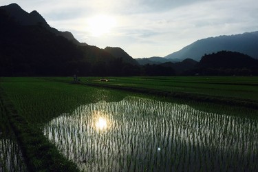 The sun sets over rice paddies in Mai Chau.