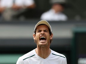 Andy Murray reacts after losing a point to Sam Querrey at Wimbledon on July 12.
