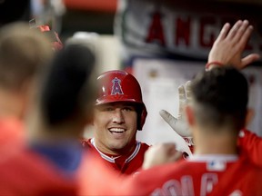 Los Angeles Angels' Mike Trout celebrates in the dugout after scoring on a double by Albert Pujols during the first inning of a baseball game against the Texas Rangers in Anaheim, Calif., Tuesday, Aug. 22, 2017. (AP Photo/Chris Carlson)