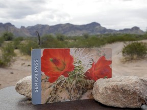 An America the Beautiful Lifetime Senior Pass is shown at Bull Dog Canyon in the Tonto National Forest in Fort McDowell, Ariz., Tuesday, Aug. 1, 2017. Seniors are snapping up so many lifetime passes good for national parks and other federal recreation sites ahead of a big price increase later this month that government agencies have started a rain check policy. The America the Beautiful Lifetime Senior Pass available to buyers 62 and older costs $10 but is going up 700 percent to $80 on Aug. 28. (AP Photo/Matt York)
