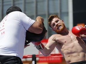 Boxer Canelo Alvarez works out as he hosts an open-to-the-public media workout at L.A. LIVE in Los Angeles on Monday, Aug. 28, 2017. Canelo Alvarez vs. Gennady "GGG" Golovkin is a 12-round box fight for the middleweight championship of the world presented by Golden Boy Promotions and GGG Promotions. The event will take place Saturday, Sept. 16, 2017, at T-Mobile Arena in Las Vegas. (AP Photo/Damian Dovarganes)