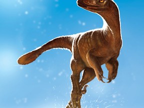 A Latenivenatrix mcmasterae dinosaur is shown in a handout illustration. Dinosaur hip bones unearthed by a University of Alberta paleontology student are shaking up the family tree of a group of small meat-eaters that lived 75 million years ago, and the student is paying tribute to his mother in the name of one of the new species for her unwavering support.THE CANADIAN PRESS/HO-University of Alberta-Julius Csotonyi MANDATORY CREDIT