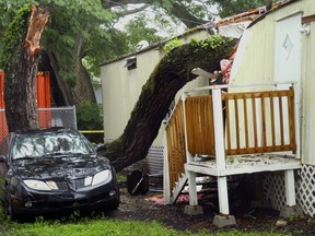 Part of a tree rests on a mobile home in the Easy Living Mobile Home Park after strong winds moved through the area in Tampa, Fla., Monday, July 31, 2017. (Skip O'Rourke/Tampa Bay Times via AP)
