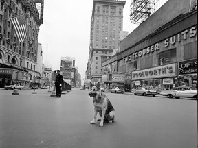 FILE - In this April 28, 1961 file photo, a dog sits near a police officer in the middle of an empty Times Square during a 10-minute civil defense test air raid alert in New York. For some baby boomers, North Korea's nuclear advances and the Trump administration's bellicose response have prompted flashbacks to a time when they were young, and when they prayed each night that they might awaken the next morning. For their children, the North Korean crisis was a taste of what the Cold War was like. (AP Photo/Bob Goldberg, File)