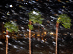 Rain is blown past palm trees as Hurricane Harvey makes landfall, Friday, Aug. 25, 2017, in Corpus Christi, Texas.