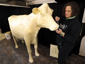 In this Thursday, Aug. 10, 2017, photo, sculptor Sarah Pratt works on the Butter Cow at the Iowa State Fair in Des Moines, Iowa. More than 1 million people typically visit the Iowa State Fair annually, and sometimes it seems like all of them are clustered around Butter Cow. The creamy creation has been among the state fair's top attraction since 1911. (AP Photo/Charlie Neibergall)