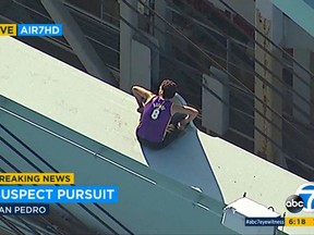 This frame from video provided by KABC-TV shows a man atop a container loading crane at the Port of Los Angeles, where he climbed after an hours-long high-speed police pursuit of his vehicle in Los Angeles, Wednesday, Aug. 16, 2017. The man left his car, climbed to the top of the crane and was sitting there as darkness approached. (KABC-TV via AP)