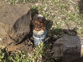 FILE - This March 16, 2017 photo released by the Bannock County Sheriff's Office shows a cyanide device in Pocatello, Idaho, Environmental groups have started a legal process to ban predator-killing cyanide traps used mostly in the U.S. West after one of the traps sickened a boy in Idaho and killed his dog. The Center for Biological Diversity and other conservation groups petitioned the Environmental Protection Agency on Thursday, Aug.10, 2017 to outlaw the spring-activated devices called M-44s. (Bannock County Sheriff's Office via AP,File)