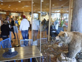 People stand in the entrance to Orsa Rovdjurspark  in Orsa Sweden Friday Aug. 4, 2017. Swedish police said Friday that a man has been seriously injured by a bear in one of Europe's largest predator parks in northern Sweden. Police say the man was cleaning an enclosure at the Orsa Rovdjurspark when he was attacked by a brown bear that had dug its way under the fence