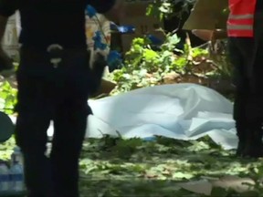 A body lies on the covered on the ground after a falling tree killed people near Funchal on the island of Madeira Portugal in this image taken from video Tuesday Aug.15, 2017.  Portuguese media has reported that people  died when they were crushed by a falling tree during at a popular religious festival on the island of Madeira. (TVI via AP)