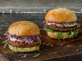 Essento mealworm burger