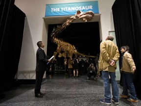 Visitors to the American Museum of Natural History examine a replica of a 122-foot-long dinosaur on display at the American Museum of Natural History in New York