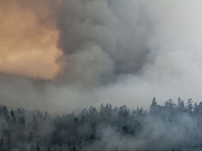 In this Sunday, Aug. 27, 2017, photo, smoke from a wildfire west of Sisters, Ore., blanket the Deschutes National Forest. Firefighters in southern Oregon on Tuesday, Aug. 29, gained a toehold on a fire burning near the coastal town of Brookings but new evacuations were ordered after a flare-up on a different complex of lightning-caused fires in a remote area near the California border. (Fedor Zarkhin/The Oregonian via AP)