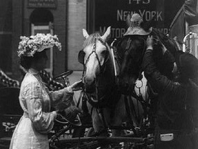 A man puts a sun hat on a New York horse in 1907.