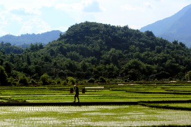 Many people in Vietnam have small rice paddies like this one in Mai Chau.