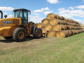 In this Tuesday, Aug. 22, 2017 photo, bales of hay that have been donated for a lottery drawing to help drought-stricken farmers and ranchers are stacked at a site near the North Dakota State University campus in Fargo, N.D. More than 40 semitrailer loads of hay have been donated and the North Dakota Agriculture Department is looking for truckers to donate their time and equipment to haul it to the Fargo site. About 900 ranchers in North Dakota, South Dakota and Montana have applied for the hay lottery. (AP Photo/Dave Kolpack)
