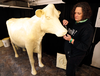 Sculptor Sarah Pratt works on the Butter Cow at the Iowa State Fair.