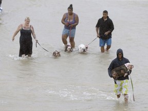 People walk with dogs along a street at the east Sam Houston Tollway from rescue boats as evacuations continue from flooding in Houston, Texas, Monday, Aug. 28, 2017, following Tropical Storm Harvey. Floodwaters reached the rooflines of single-story homes Monday and people could be heard pleading for help from inside as Harvey poured rain on the Houston area for a fourth consecutive day after a chaotic weekend of rising water and rescues. (Melissa Phillip/Houston Chronicle via AP)