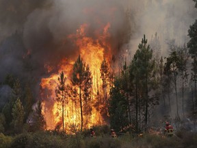 Firefighters battle flames by the village of Chao de Codes, near Macao, central Portugal, Wednesday, Aug. 16 2017. The Portuguese Civil Protection Agency said Wednesday that 141,000 hectares of woodland have burned so far this year, compared with an annual average of 45,000 hectares in the previous 10 years. Over the past week, the fires left 74 people injured, six of them seriously. (AP Photo/Armando Franca)