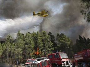 A firefighting plane drops its load on a forest fire raging by the village of Lercas near Sardoal, central Portugal, Thursday, Aug. 17, 2017. Portugal's government is taking the rare step of decreeing a state of public calamity ahead of a forecast rise in temperatures that authorities fear will worsen a spate of wildfires. (AP Photo/Armando Franca)