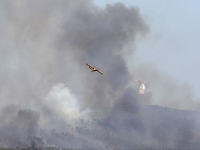 A firefighting airplane drops its load of water on a forest fire in the hills outside Abrantes, central Portugal, Friday, Aug.11, 2017. Strong winds and rising temperatures stoked wildfires in Portugal on Thursday, ending days of cooler weather that brought a brief respite from a spate of blazes, including one that killed scores of people in June. (AP Photo/Armando Franca)