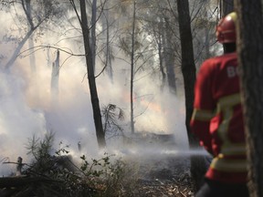 A firefighter controls a wild fire approaching the village of Pucarica, near Abrantes, central Portugal, Friday, Aug. 11, 2017. Strong winds and rising temperatures stoked wildfires in Portugal on Thursday, ending days of cooler weather that brought a brief respite from a spate of blazes, including one that killed 64 people in June. (AP Photo/Armando Franca)