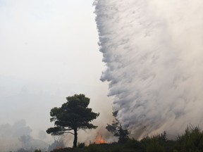 A helicopter drops water as a fire burns a forest land in the village of Varnava, north of Athens, on Monday, Aug. 14 , 2017. A large wildfire north of Athens is threatening homes as it sweeps through pine forest for a second day, uncontained due to high winds. (AP Photo/Petros Giannakouris)