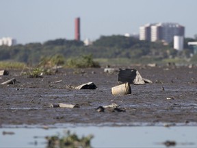 This July 31, 2017 photo, shows the heavily the polluted Jacarepagua lagoon, in Rio de Janeiro, Brazil. Rio pledged in its Olympic bid to treat 80 percent of its water waste before the start of the Games, but it failed to deliver on that promise. A study commissioned by The Associated Press shows dangerously high levels of contamination. (AP Photo/Silvia Izquierdo)