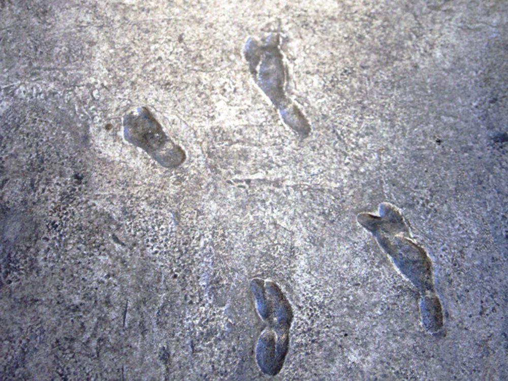 Ancient Footprints In Crete Challenge Theory Of Human Evolution – But ...