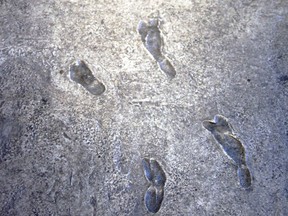 Laetoli footprints