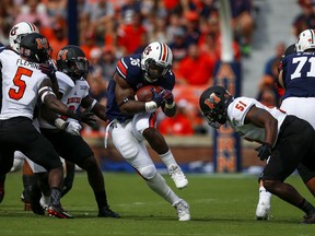 Auburn running back Kamryn Pettway (36) finds a hole as he carries the ball during the first half of an NCAA college football game against Mercer, Saturday, Sept. 16, 2017, in Auburn, Ala. (AP Photo/Butch Dill)