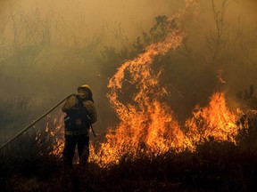 In this Monday, Sept. 25, 2017 photo, firefighters battle a brushfire burning off State Route 91, between Anaheim and Corona, Calif. (Watchara Phomicinda/The Orange County Register via AP)