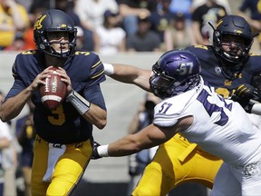 California quarterback Ross Bowers (3) looks to pass as he is pressured by Weber State defensive lineman Jared Schiess (57) during the first half of an NCAA college football game in Berkeley, Calif., Saturday, Sept. 9, 2017. (AP Photo/Jeff Chiu)