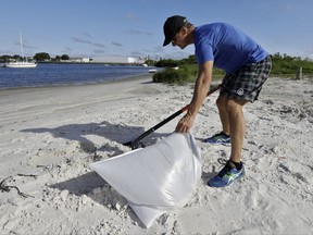 Troy Mollohan, of Tampa, Fla., fills sand bags along the beach at the Davis Islands yacht basin Saturday, Sept. 9, 2017, in Tampa, Fla. Residents along Florida west coast are making preparations for the arrival of Hurricane Irma. (AP Photo/Chris O'Meara)