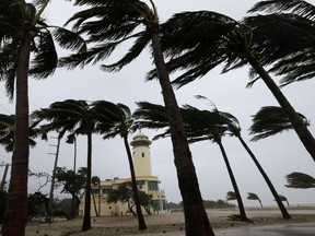 Palm trees blow in the wind near the Haulover Park Ocean Rescue Lifeguard Station at as Hurricane Irma passes by, Sunday, Sept. 10, 2017, in North Miami Beach, Fla. (AP Photo/Wilfredo Lee)
